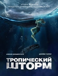 Скачать Рекуин / Тропический шторм (2022) в хорошем качестве