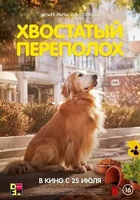 Хвостатый переполох (2024) скачать