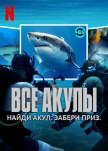 Скачать Все акулы (2025) в хорошем качестве