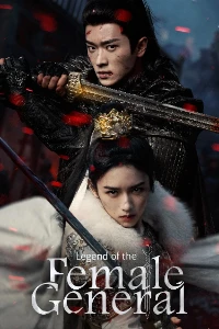 Скачать Легенда о женщине-генерале (2025) в хорошем качестве