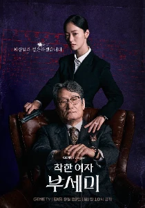 Скачать Хорошая женщина Бу Се Ми (2025) в хорошем качестве