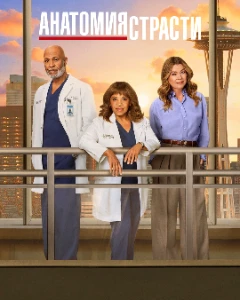 Скачать Анатомия страсти (Анатомия Грей) (22 сезон) в хорошем качестве