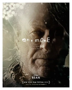 Скачать Анемон (2024) в хорошем качестве