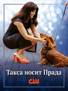 Скачать Лапы в городе (2025) в хорошем качестве