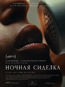 Скачать Ночная сиделка (2026) в хорошем качестве