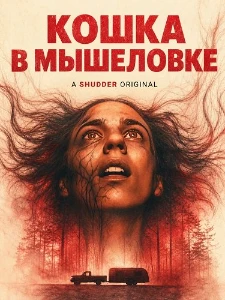 Скачать Кошка в мышеловке (2025) в хорошем качестве