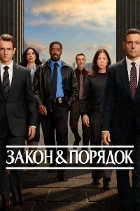 Скачать Закон и порядок (25 сезон) в хорошем качестве